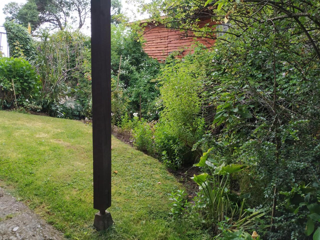 Omi Kika B&B Villarrica Exterior photo